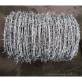 Best price razor barbed wire with sharp spike